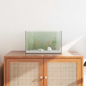 vidaXL Acvariu cu depozitare Transparent 40 x 25 x 25 cm Sticlă-1